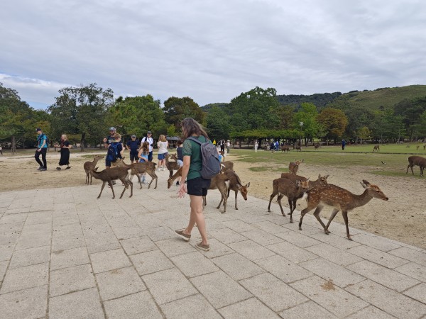 インバウンドガイド