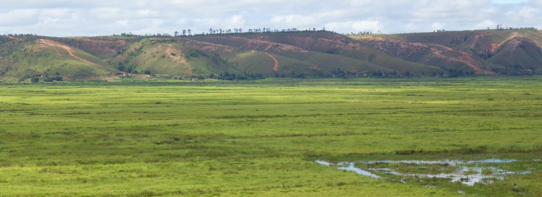Main Visual: Nature Landscape